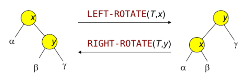 rotations bitches